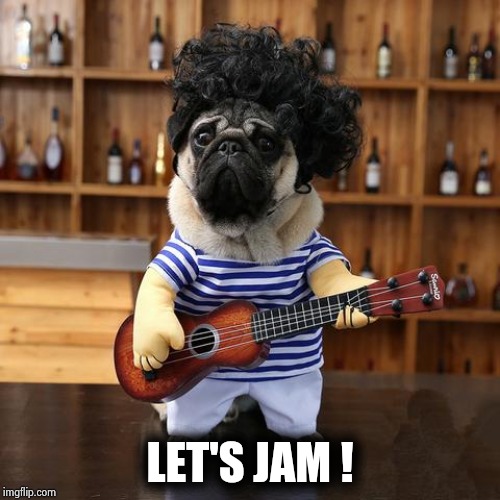 Ukelele Pug | LET'S JAM ! | image tagged in ukelele pug | made w/ Imgflip meme maker
