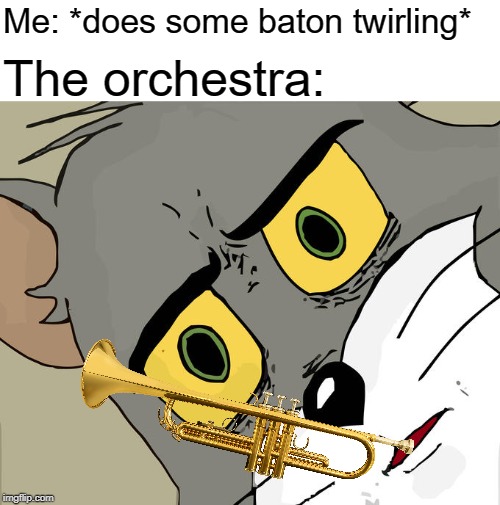 I can see how that would cause a problem.... | Me: *does some baton twirling*; The orchestra: | image tagged in memes,unsettled tom,orchestra | made w/ Imgflip meme maker