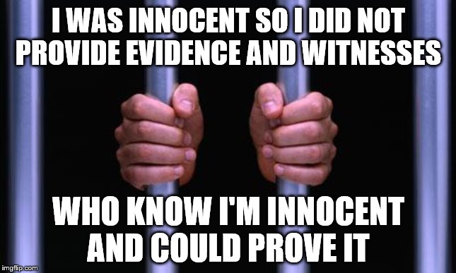 Prison Bars | I WAS INNOCENT SO I DID NOT PROVIDE EVIDENCE AND WITNESSES WHO KNOW I'M INNOCENT AND COULD PROVE IT | image tagged in prison bars | made w/ Imgflip meme maker