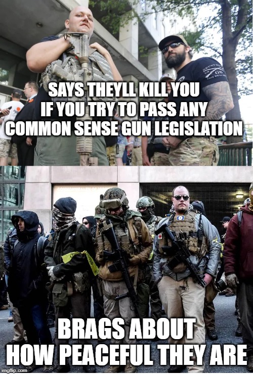 SAYS THEYLL KILL YOU IF YOU TRY TO PASS ANY COMMON SENSE GUN LEGISLATION; BRAGS ABOUT HOW PEACEFUL THEY ARE | image tagged in guns | made w/ Imgflip meme maker