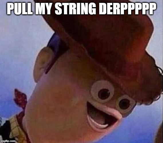 Derp Woody | PULL MY STRING DERPPPPP | image tagged in derp woody | made w/ Imgflip meme maker