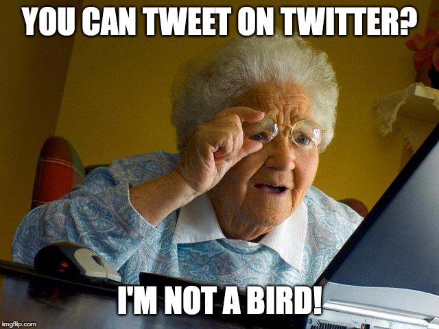 Grandma Finds The Internet | YOU CAN TWEET ON TWITTER? I'M NOT A BIRD! | image tagged in memes,grandma finds the internet | made w/ Imgflip meme maker