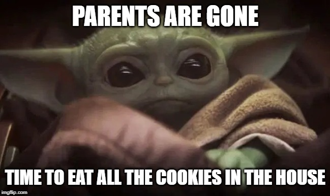 Baby Yoda | PARENTS ARE GONE; TIME TO EAT ALL THE COOKIES IN THE HOUSE | image tagged in baby yoda | made w/ Imgflip meme maker