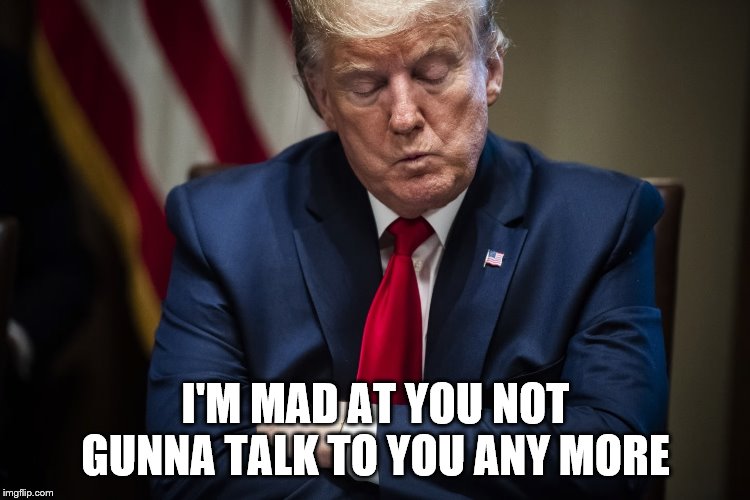 I'M MAD AT YOU NOT GUNNA TALK TO YOU ANY MORE | image tagged in donald trump | made w/ Imgflip meme maker