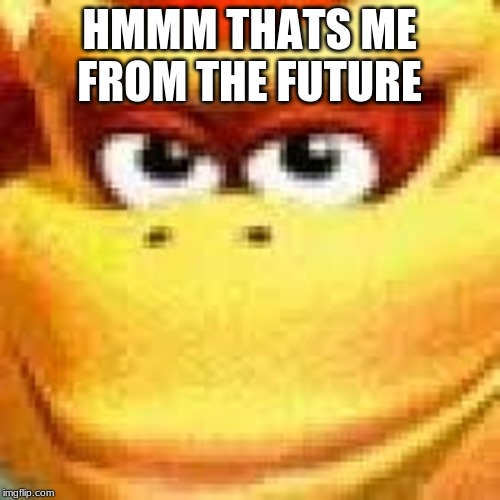 Expand Dong | HMMM THATS ME FROM THE FUTURE | image tagged in expand dong | made w/ Imgflip meme maker