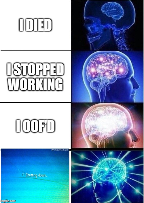 Expanding Brain Meme | I DIED; I STOPPED WORKING; I OOF'D | image tagged in memes,expanding brain | made w/ Imgflip meme maker