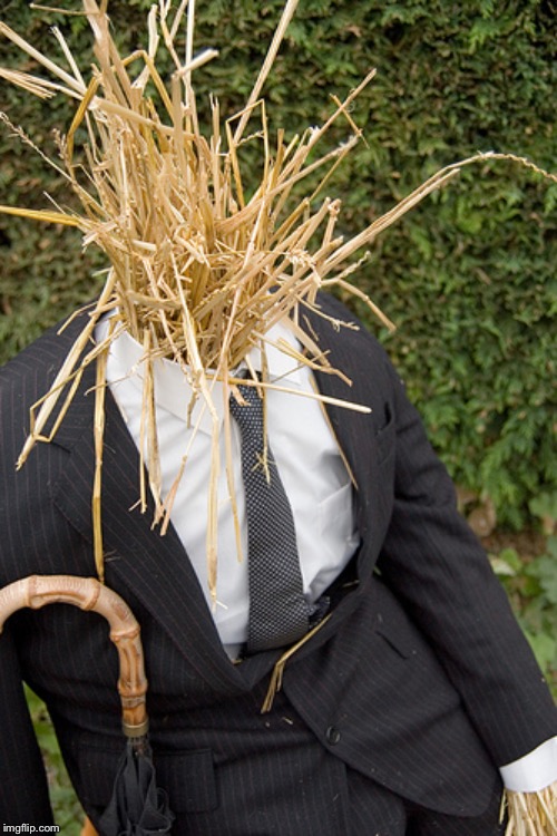 Straw Man | image tagged in straw man | made w/ Imgflip meme maker