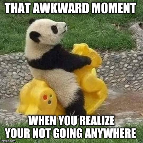 Panda on toy horse | THAT AWKWARD MOMENT; WHEN YOU REALIZE YOUR NOT GOING ANYWHERE | image tagged in panda on toy horse | made w/ Imgflip meme maker