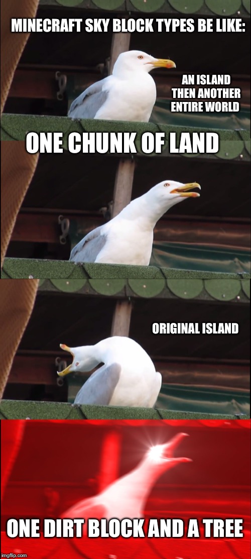 Me looking at different sky block games | MINECRAFT SKY BLOCK TYPES BE LIKE:; AN ISLAND THEN ANOTHER ENTIRE WORLD; ONE CHUNK OF LAND; ORIGINAL ISLAND; ONE DIRT BLOCK AND A TREE | image tagged in memes,inhaling seagull,minecraft | made w/ Imgflip meme maker