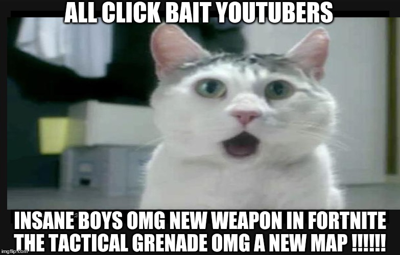 ALL CLICK BAIT YOUTUBERS; INSANE BOYS OMG NEW WEAPON IN FORTNITE THE TACTICAL GRENADE OMG A NEW MAP !!!!!! | made w/ Imgflip meme maker