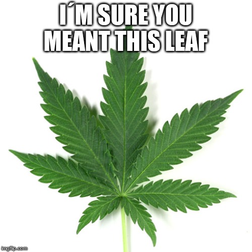 Marijuana leaf | I´M SURE YOU MEANT THIS LEAF | image tagged in marijuana leaf | made w/ Imgflip meme maker