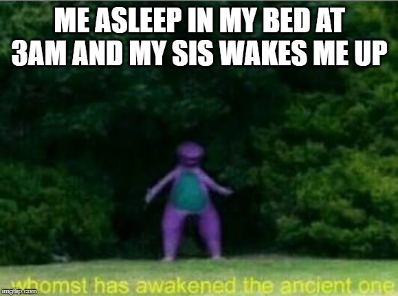 Whomst has awakened the ancient one | ME ASLEEP IN MY BED AT 3AM AND MY SIS WAKES ME UP | image tagged in whomst has awakened the ancient one | made w/ Imgflip meme maker