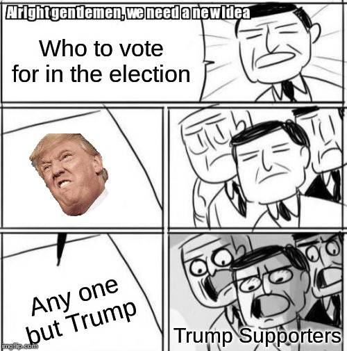Alright Gentlemen We Need A New Idea | Who to vote for in the election; Any one but Trump; Trump Supporters | image tagged in memes,alright gentlemen we need a new idea | made w/ Imgflip meme maker
