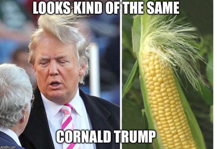 image tagged in donald trump,trump,political meme | made w/ Imgflip meme maker