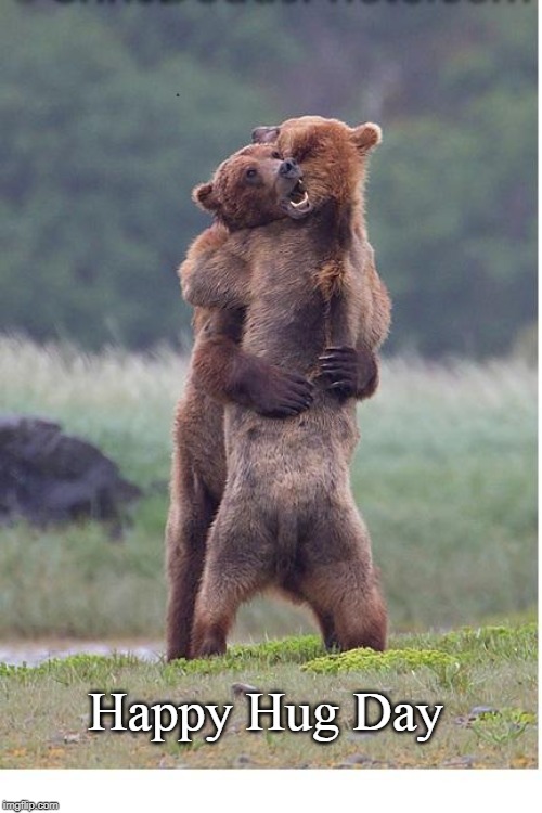 hugging bears | Happy Hug Day | image tagged in hugging bears | made w/ Imgflip meme maker