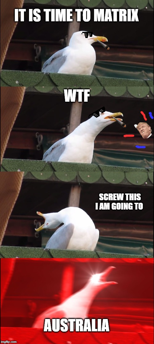 Inhaling Seagull Meme | IT IS TIME TO MATRIX; WTF; SCREW THIS I AM GOING TO; AUSTRALIA | image tagged in memes,inhaling seagull | made w/ Imgflip meme maker