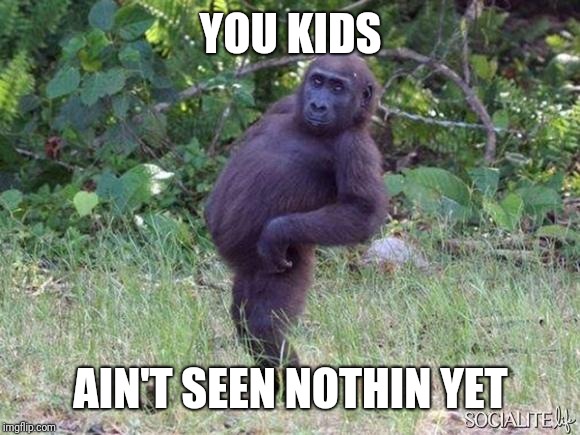 Sassy Monkey | YOU KIDS AIN'T SEEN NOTHIN YET | image tagged in sassy monkey | made w/ Imgflip meme maker