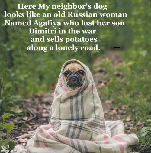 HERE MY NEIGHBOR'S DOG LOOKS LIKE AN OLD RUSSIAN WOMAN NAMED AGAFIYA WHO LOST HER SON IN THE WAR AND SELLS POTATOES ALONG A LONELY ROAD | made w/ Imgflip meme maker