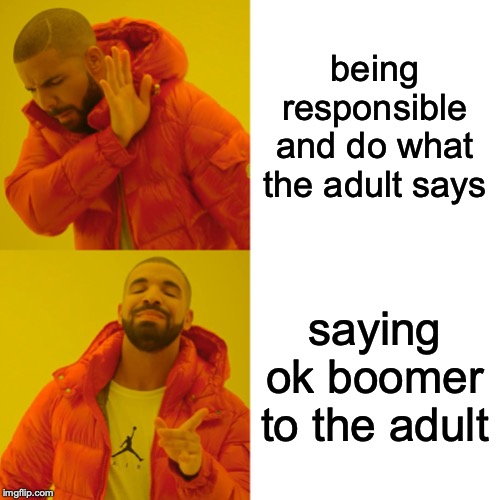 Drake Hotline Bling | being responsible and do what the adult says; saying ok boomer to the adult | image tagged in memes,drake hotline bling | made w/ Imgflip meme maker