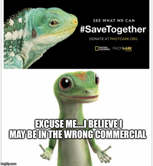 What are we saving? | EXCUSE ME....I BELIEVE I MAY BE IN THE WRONG COMMERCIAL | image tagged in what are we saving | made w/ Imgflip meme maker