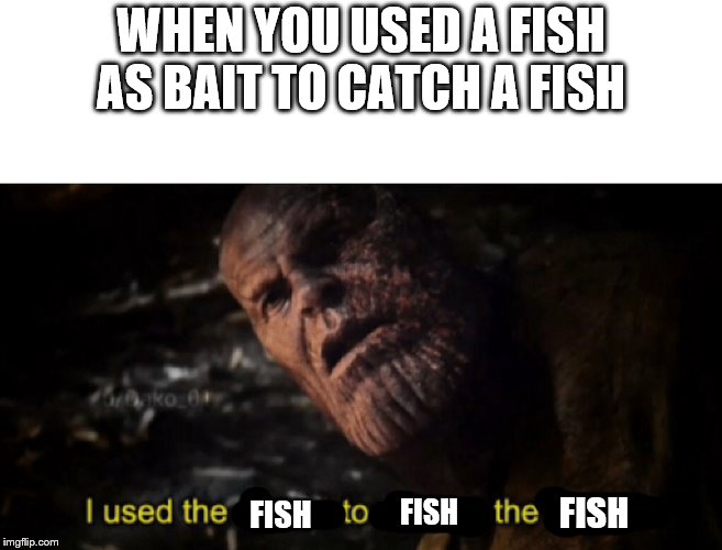 I used the stones to destroy the stones | WHEN YOU USED A FISH AS BAIT TO CATCH A FISH; FISH; FISH; FISH | image tagged in i used the stones to destroy the stones | made w/ Imgflip meme maker