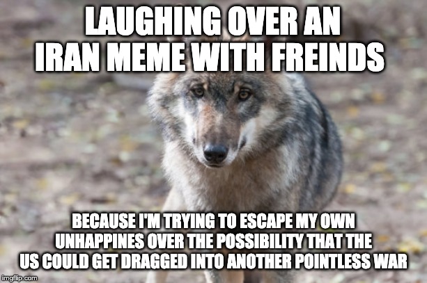 be honest | LAUGHING OVER AN IRAN MEME WITH FREINDS; BECAUSE I'M TRYING TO ESCAPE MY OWN UNHAPPINES OVER THE POSSIBILITY THAT THE US COULD GET DRAGGED INTO ANOTHER POINTLESS WAR | image tagged in depressed wolf,iran,draft,sad,animals | made w/ Imgflip meme maker
