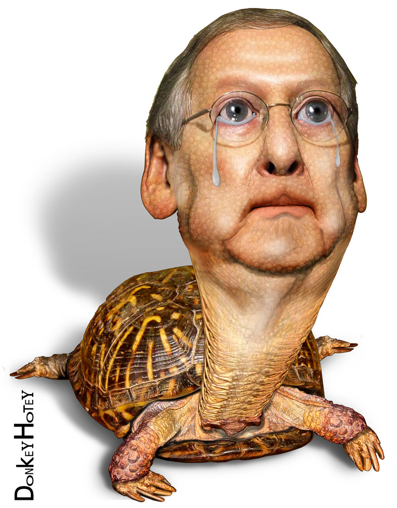 High Quality Turtle Mitch Crying Blank Meme Template