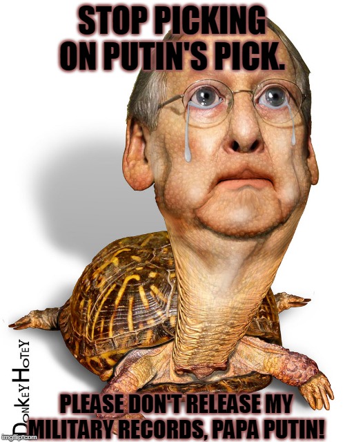 Turtle Mitch Crying | STOP PICKING ON PUTIN'S PICK. PLEASE DON'T RELEASE MY MILITARY RECORDS, PAPA PUTIN! | image tagged in turtle mitch crying | made w/ Imgflip meme maker