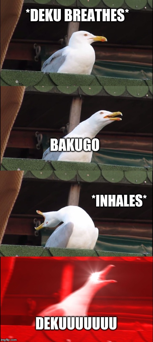 Inhaling Seagull | *DEKU BREATHES*; BAKUGO; *INHALES*; DEKUUUUUUU | image tagged in memes,inhaling seagull | made w/ Imgflip meme maker