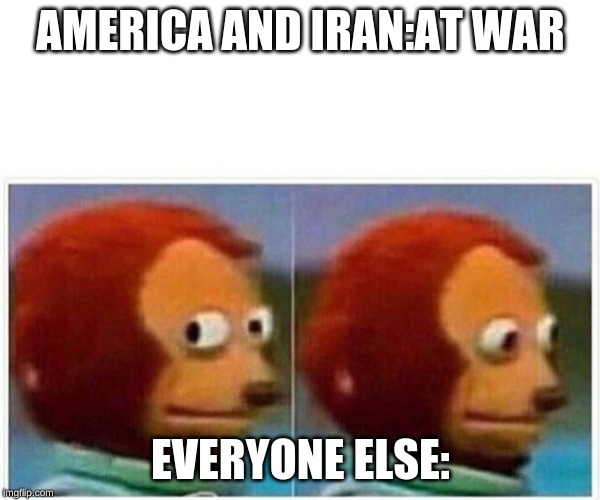 Monkey Puppet Meme | AMERICA AND IRAN:AT WAR; EVERYONE ELSE: | image tagged in monkey puppet | made w/ Imgflip meme maker