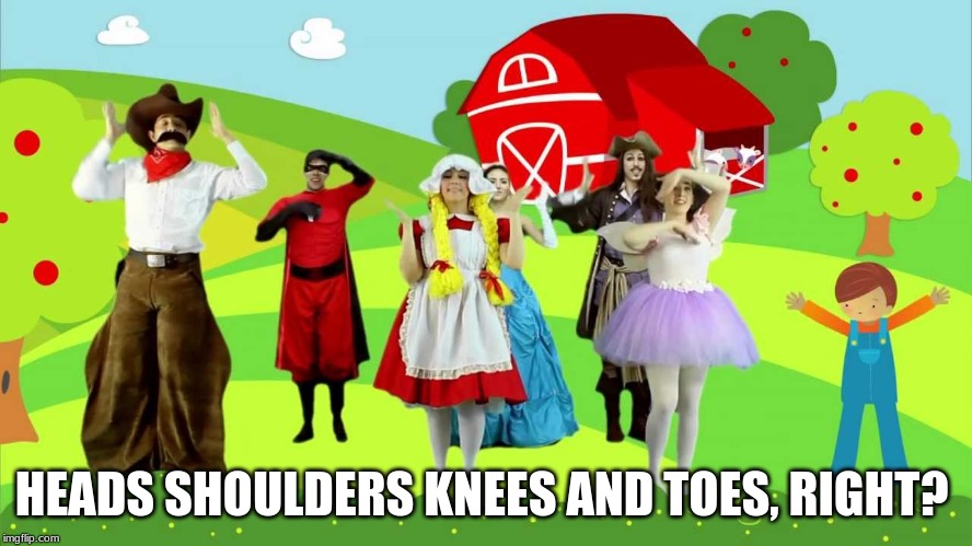 funny dress up meme | HEADS SHOULDERS KNEES AND TOES, RIGHT? | image tagged in funny dress up meme | made w/ Imgflip meme maker