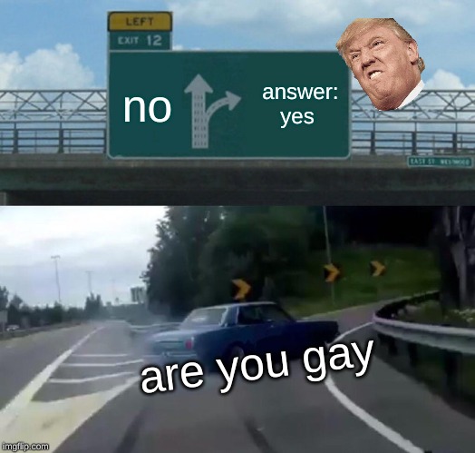 Left Exit 12 Off Ramp Meme | no; answer: yes; are you gay | image tagged in memes,left exit 12 off ramp | made w/ Imgflip meme maker