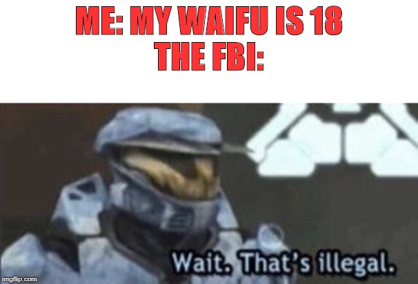 wait. that's illegal | ME: MY WAIFU IS 18
THE FBI: | image tagged in wait that's illegal | made w/ Imgflip meme maker