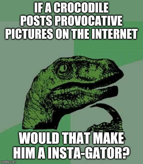 Social Media Reptile | IF A CROCODILE POSTS PROVOCATIVE PICTURES ON THE INTERNET; WOULD THAT MAKE HIM A INSTA-GATOR? | image tagged in memes,philosoraptor,instigator gator | made w/ Imgflip meme maker