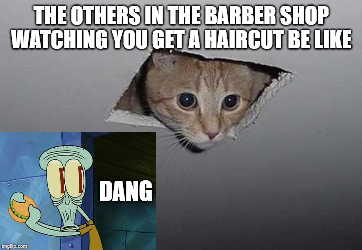THE OTHERS IN THE BARBER SHOP WATCHING YOU GET A HAIRCUT BE LIKE DANG | image tagged in ceiling cat high-res | made w/ Imgflip meme maker