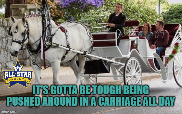 IT'S GOTTA BE TOUGH BEING PUSHED AROUND IN A CARRIAGE ALL DAY | image tagged in family,baby,funny | made w/ Imgflip meme maker