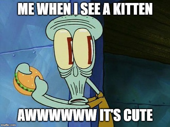 Oh shit Squidward | ME WHEN I SEE A KITTEN; AWWWWWW IT'S CUTE | image tagged in oh shit squidward | made w/ Imgflip meme maker