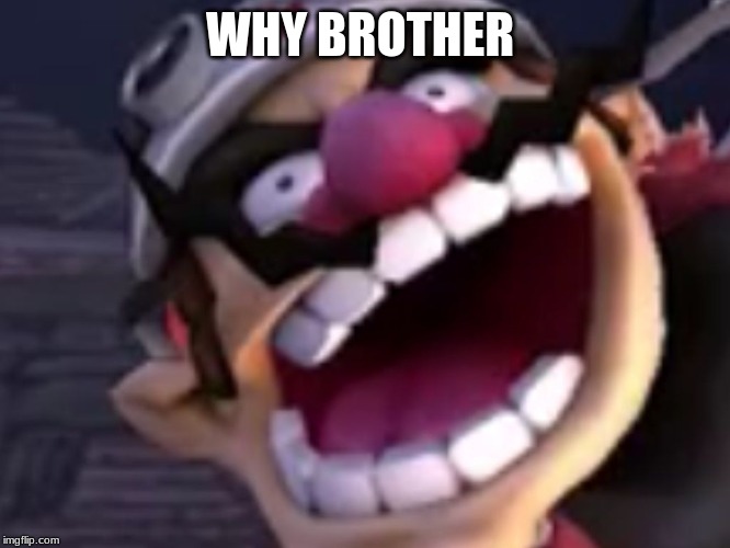 Wario | WHY BROTHER | image tagged in wario | made w/ Imgflip meme maker