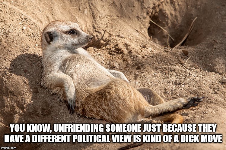 Reclining Meerkat | YOU KNOW, UNFRIENDING SOMEONE JUST BECAUSE THEY HAVE A DIFFERENT POLITICAL VIEW IS KIND OF A DICK MOVE | image tagged in reclining meerkat | made w/ Imgflip meme maker