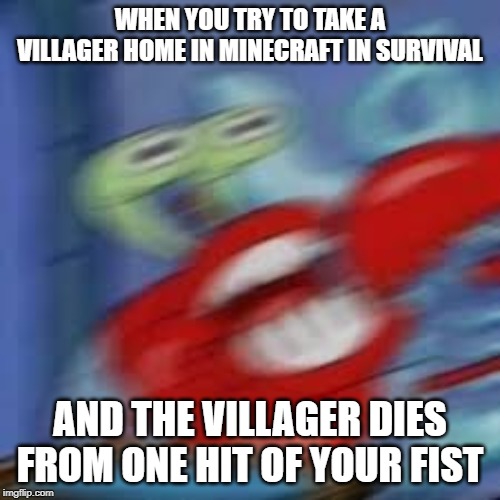 WHEN YOU TRY TO TAKE A VILLAGER HOME IN MINECRAFT IN SURVIVAL; AND THE VILLAGER DIES FROM ONE HIT OF YOUR FIST | image tagged in funny memes | made w/ Imgflip meme maker