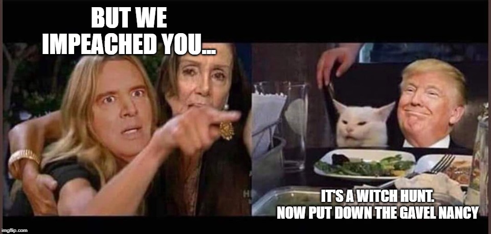 Witch Hunt 2020 | BUT WE IMPEACHED YOU... IT'S A WITCH HUNT. NOW PUT DOWN THE GAVEL NANCY | image tagged in schiff pelosi trump cat,trump,impeachment,witch hunt | made w/ Imgflip meme maker