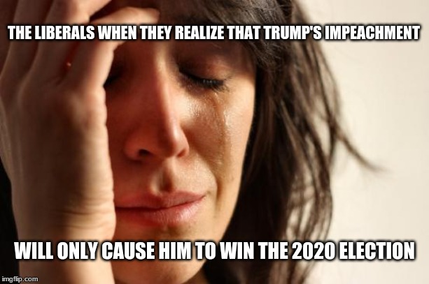 First World Problems | THE LIBERALS WHEN THEY REALIZE THAT TRUMP'S IMPEACHMENT; WILL ONLY CAUSE HIM TO WIN THE 2020 ELECTION | image tagged in memes,first world problems | made w/ Imgflip meme maker