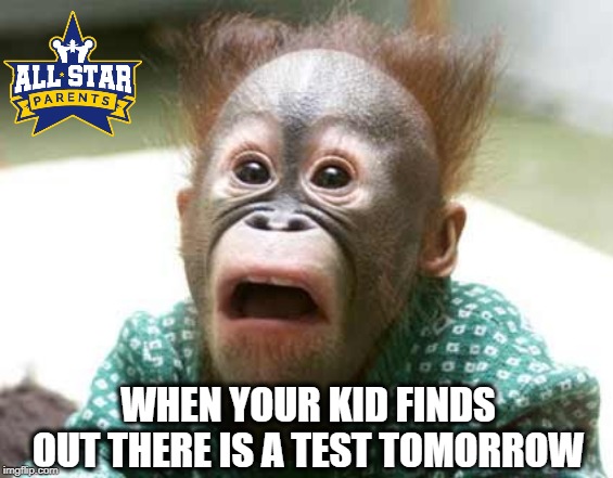 WHEN YOUR KID FINDS OUT THERE IS A TEST TOMORROW | image tagged in monkey,school,funny | made w/ Imgflip meme maker