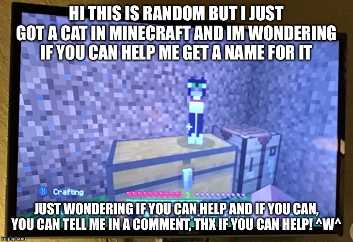 Can you help me name my new minecraft cat? | HI THIS IS RANDOM BUT I JUST GOT A CAT IN MINECRAFT AND IM WONDERING IF YOU CAN HELP ME GET A NAME FOR IT; JUST WONDERING IF YOU CAN HELP AND IF YOU CAN, YOU CAN TELL ME IN A COMMENT, THX IF YOU CAN HELP! ^W^ | image tagged in minecraft,cat | made w/ Imgflip meme maker