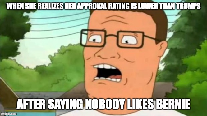 Hillary Clinton saying nobody likes Bernie | WHEN SHE REALIZES HER APPROVAL RATING IS LOWER THAN TRUMPS; AFTER SAYING NOBODY LIKES BERNIE | image tagged in hank hill,hillary clinton,bernie sanders,election 2020 | made w/ Imgflip meme maker
