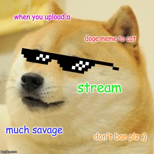 Doge | when you upload a; doge meme to cat; stream; much savage; don't ban plz ;) | image tagged in memes,doge | made w/ Imgflip meme maker