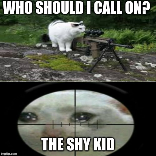 teacher picks the shy kid | WHO SHOULD I CALL ON? THE SHY KID | image tagged in cat with gun | made w/ Imgflip meme maker