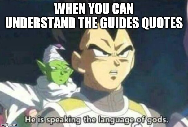 He is speaking the language of gods | WHEN YOU CAN UNDERSTAND THE GUIDES QUOTES | image tagged in he is speaking the language of gods | made w/ Imgflip meme maker