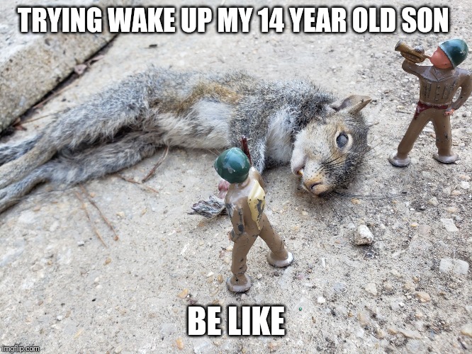 Dead Squirrell Soldier | TRYING WAKE UP MY 14 YEAR OLD SON; BE LIKE | image tagged in dead squirrell soldier | made w/ Imgflip meme maker