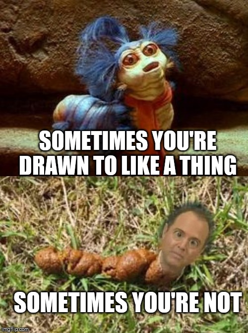 Labyrinth Worm vs Adam Schiff | SOMETIMES YOU'RE DRAWN TO LIKE A THING; SOMETIMES YOU'RE NOT | image tagged in labyrinth,adam schiff | made w/ Imgflip meme maker